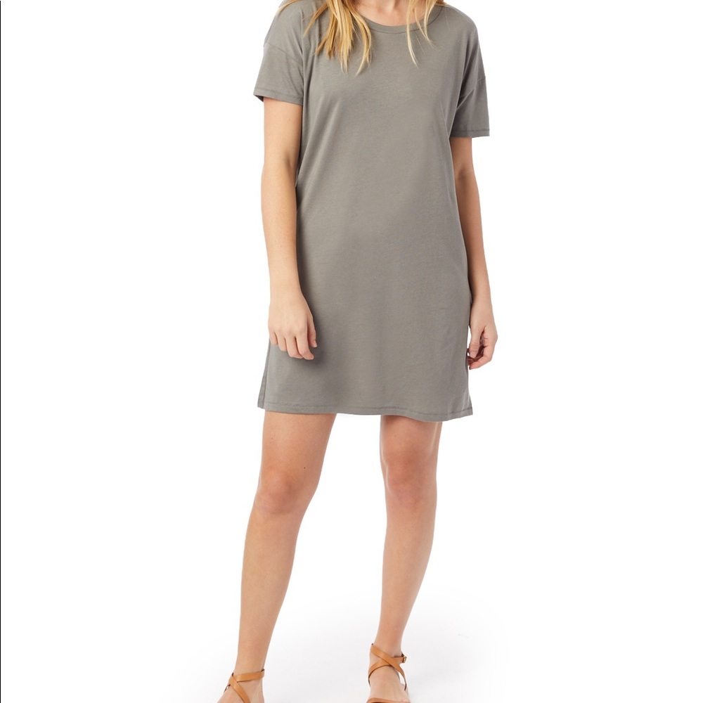 Alternative Apparel cotton t-shirt dress